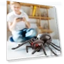 Remote Control Spider Toy — Interactive Figures & Robots, Outdeer