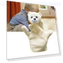 Smart Zoo Farm Animal Hand Puppet Finger Plush Toy — Plush Puppets, Zoeneed