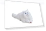 Ragdoll Pet Robot Cat — Interactive Animal Companions, SEGA
