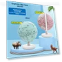 Smart AR Globe — Geographic Globes, VantaGoods