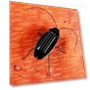 Solar-Powered Educational Cockroach Robot Toy — Solar Power, Haizhihong