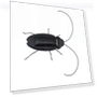 Educational Solar-Powered Cockroach Robot Toy — Solar Power, Ice Beauty