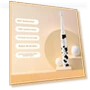 Electric Smart Toothbrush — Electric Toothbrush Heads, Binchi Health Technology