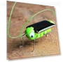 Solar-Powered Educational Robot Toy — Solar Power, H2Orchard