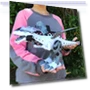 Electronic Walking Dinosaur Toy — Interactive Learning Devices, SAMS Online