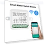 Voice Control WIFI On/Off Switch — Smart Home Hubs & Controllers, Dream Garage