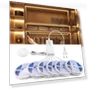 LED Strip Light — LED Strips, MALITAI