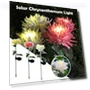 Solar Light LED Chrysanthemum Flower Garden Light — Garden Illumination, Smart Mouse