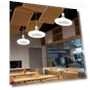 Ceiling Fan with Light — Ceiling Fan Lighting Solutions, Worry free storage