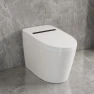 Smart Toilet with Heated Seat and Auto Flush, Deer Valley