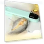 Vacuum Sealer Machine for Food — Vacuum Bags, Binchi Outdoor Equipment