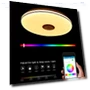 RGB Ceiling Light with Adjustable Brightness — Overhead Lighting, Refreshing Home