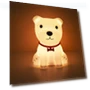 Colorful LED Night Light with Touch Sensor — Night Lights, Actually lighting
