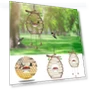 Smart Bird Feeder — Backyard Birding, linglong
