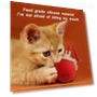 Automatic Rolling Ball Toy with Fake Tail — Cat Playthings, Super Dream Home
