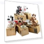 Cute Dog Electronic Robot Piggy Bank — Savings & Piggy Banks, Simple and warm