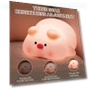Cute LED Night Lights with Touch Sensor — Night Lights, Refreshing Home