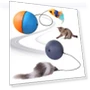Electric Cat Toy Ball — Cat Playthings, Ren Sexy Toy
