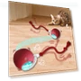Interactive Cat Toy Ball — Cat Playthings, Knife Home