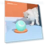 Interactive Cat Toy — Cat Playthings, Homedepot