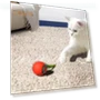 Interactive Rolling Toy for Cats — Cat Playthings, Vogue Wardrobe