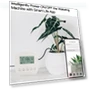 Smart Watering Machine — Automatic Irrigation, Homedepot