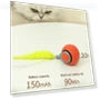 Interactive Pet Toy Ball — Cat Playthings, Comfortable Housy
