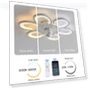 Smart Ceiling Fan with Light — Ceiling Fans & Accessories, Rainbow Rain