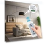 Smart Switch — Ceiling Fan Wall Controls, Explorer Outdoors