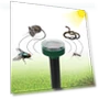 Ultrasonic Solar Animal Repeller — Repellents, VITA Dogdog Smartwear