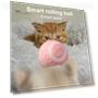 Interactive Cat Ball — Cat Playthings, Pet park