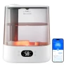 Smart Humidifier — Humidifier, GoveeLife