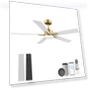 Smart Ceiling Fan with LED Lights — Ceiling Fan Wall Controls, Lorpies