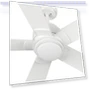 Smart Ceiling Fan with Lights — Ceiling Fans & Accessories, CEME