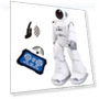 Humanoid Robot — Interactive Figures & Robots, MIYAKO DENKI