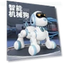 Intelligent Induction Robot Dog — Melody Makers, Happy Time For kids
