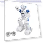 Multifunctional Toy Robot — Interactive Figures & Robots, MIYAKO