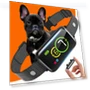 Smart Anti-Bark Collar — Anti-Bark Training Devices, AccessoriesIN