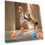 Interactive Jumping Ball for Cats — Balls, JUN JUN