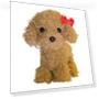 Talking, Moving, Singing Toy Poodle — Interactive, hayatospeed