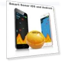 Wireless Fish Finder — Item Locators, Seahorse Home
