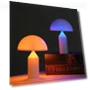 Mushroom Touch Night Light with Color Changing — Night Lights, TrendVibeCN