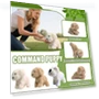 Realistic Puppy Robot — Interactive, timoduizhang