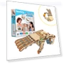 Robot Hand Craft Kit — Construction Kits, Smartivity