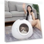 Silent Pet Dryer — Exercise Wheels, Pets Land