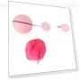 Smart Electric Bouncing Ball — Interactive Animal Companions, Health & Beauty PRODUCT