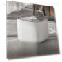 Smart Induction Water Dispenser for Pets — Feeding Supplies, Pets Land