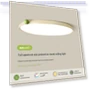 Ultra-Thin Full Spectrum Ceiling Light — Overhead Lighting, WoW Home