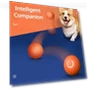 Automatic Moving Dog Toy Ball — Balls, Smart Pet Supplies