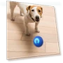 Automatic Moving Smart Ball Dog Toy — Automatic Launchers, SunshineTek